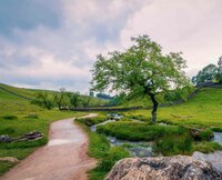 Robert  Glen Ireland